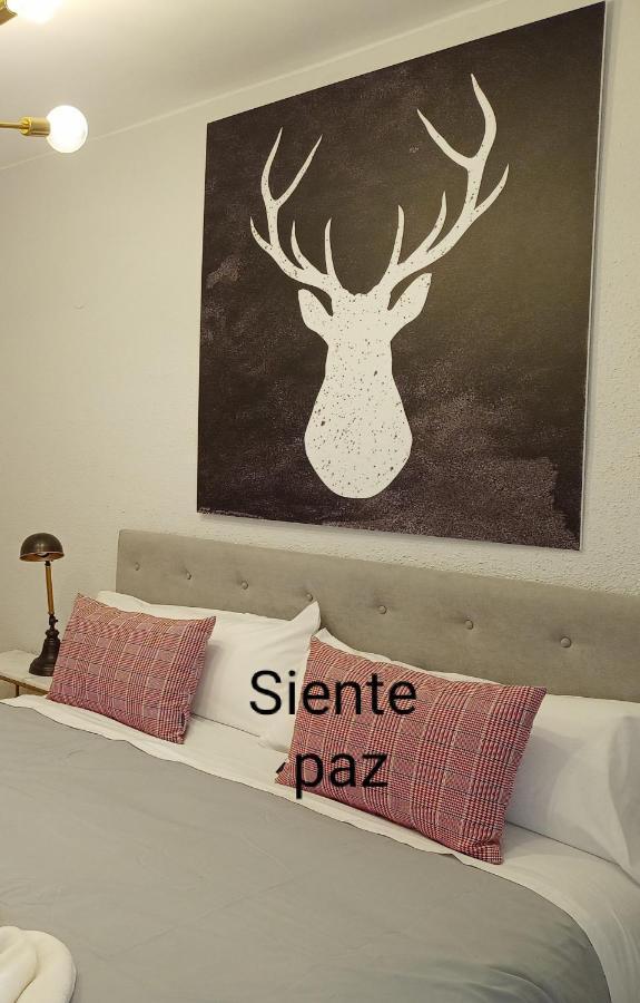 Origen Pelaire Excelente Limpieza Y Ubicacion Leilighet Biescas  Eksteriør bilde